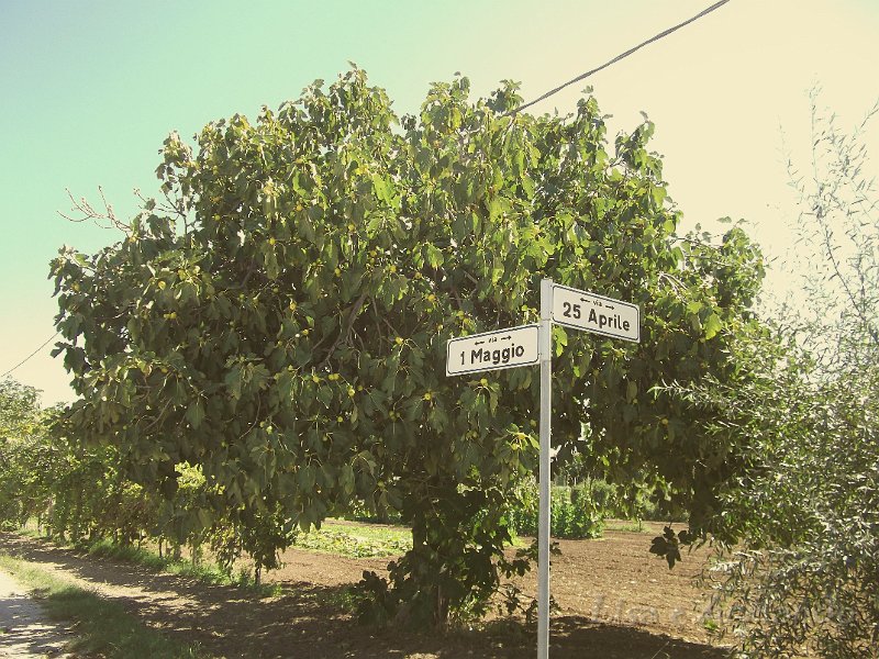 incrocio di date.JPG